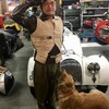 FoSTの受理書、もうちょっと待っててね