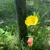それだから、あなたは愛される。
