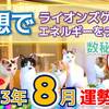 【数秘①の方へ】2023年8月運勢