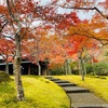 箱根旅行の最終日