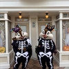 ハロウィン当日を満喫！限定グリーティング・ショー・パレードを1日レポート【HKDL2025⑦】