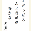 まだつぼみふと我が姿桜かな