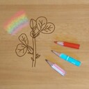 野菜を作る土を作る