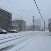 とうとう雪の季節がやってきました！大雪が心配です＜北海道札幌市の冬＞