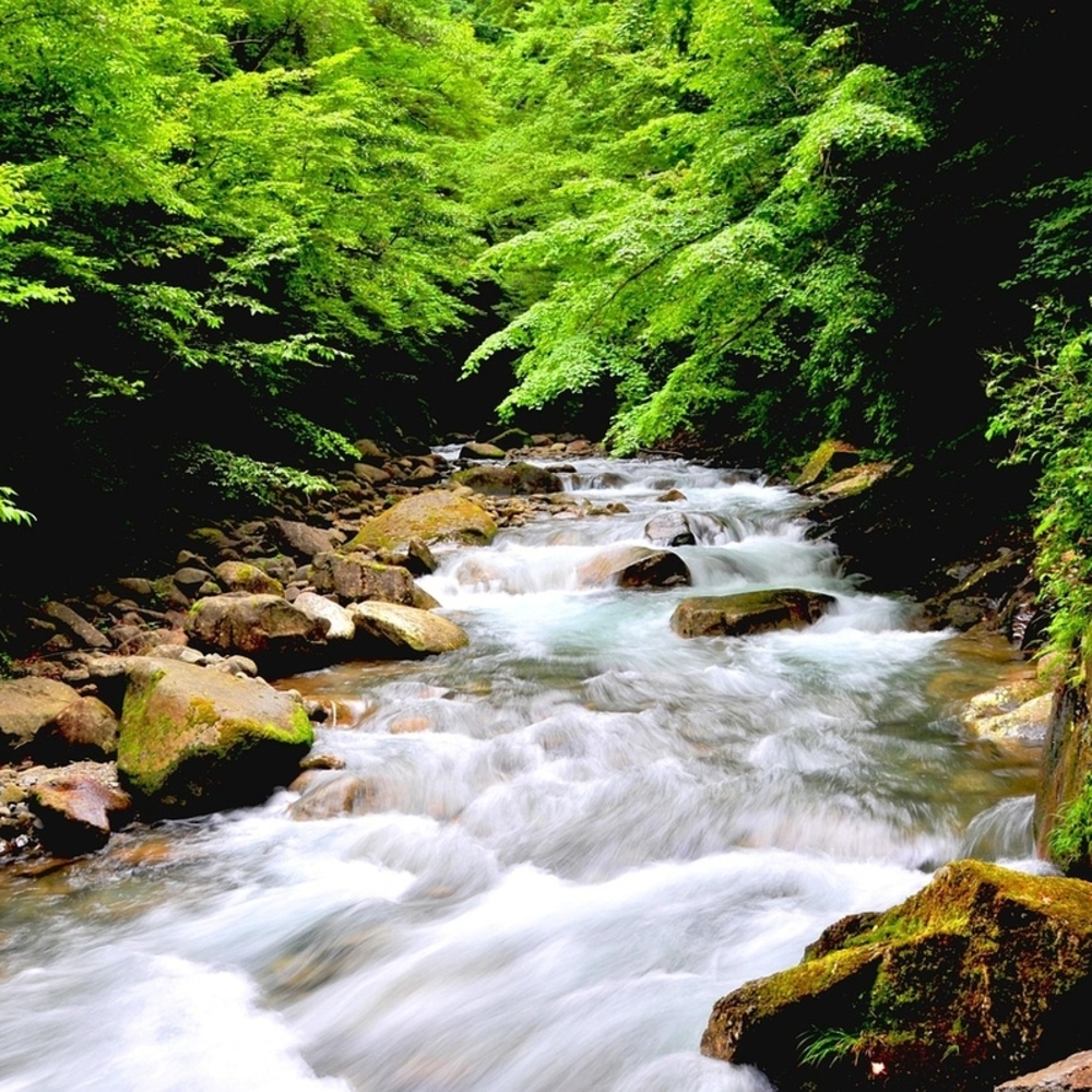 カタカムナが伝える「イヤシロチ」 癒しの地の真実