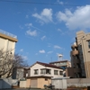 （巻四十三）息災に年金暮し古暦(芦川まり)