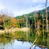 2019.12.11笹川湖（片倉ダム）