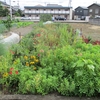 雨降り前の買い出しと、小さな夢