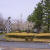 並木大橋（大角豆緑地）の桜～つくば市とその周辺の風景写真案内（１２６５） 
