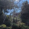 しばしエスパルスを忘れてひなたぼっこ