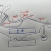 【沖縄旅行記その2】沖縄旅行のスタートダッシュを決めろ!レンタカーはどこで借りるべきか