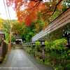 京都旅行【３】～長楽寺・高台寺周辺・そして、再会！～