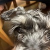 ふくすけ特集やっちゃうよ