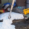 雪の残りと白菜。