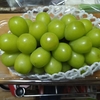 うちごはん・自炊 Vol.665 ＜デパートご飯・天然ぶり買ってきた・デザートにシャインマスカット＞