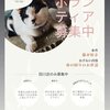 福岡県飯塚市：犬と猫のカフェ 有吉工務店を紹介するにゃ 11【ボランティアさん大募集中にゃ‼️】