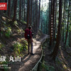 【奥武蔵】丸山、静かな森林と日向山の節分草に癒される、奥武蔵登山の旅