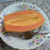今日は完全な種無し