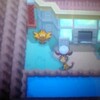 ゲーム：ポケモンDPt・HGSS 第181回＋＋＋＋＋＋＋＋＋