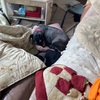 新年　ふくすけマラソン開催中　その4だよ