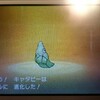 USUM発売前にポケモンサンプレイ日記(お祭り編)