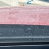 バッタさん車に乗る