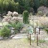 パワースポット巡り（９１９）（９２０）鎌倉の梅跡、飯縄神社