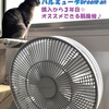 バルミューダGreenFan購入から３年目☆オススメできる扇風機♪　