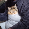 ジンさん、腰痛と共に仕事納め