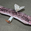 10号機　mini Eagle