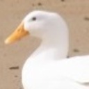 能島潮流コンサート&歌会ブログ