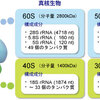 Bioanalyzer®に関するまとめ