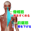 夢遊歩行する男の子