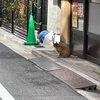 ダウン