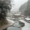 2023.2.10 秋川国際マス釣場〜大雪の中で釣行