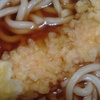 いか天ぷら　うどん