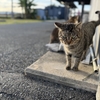 ＊〜カッコいい…お土産をありがとうございました〜＊
