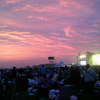 RISING SUN ROCK FESTIVAL 2010 in EZO(2)