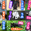 母猫とはぐれた猫たち牧場で幸せに暮らす（リーダーうめとその仲間たち）