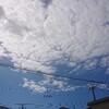 曇り～晴れ　暑ちーぃ(^^ゞ