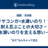 耐え忍ぶことの大切さ－水瀬いのりを支える想い－