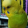 ７月２６日の相場を見てみたよ　チュン