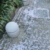 体と心の平衡を保つ大切さ