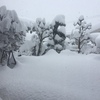 大雪が続く