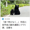 【全国的に頻発するクマ被害について……8／8　登山道でクマに襲われ70代男性重症の可能性・長野】＃265