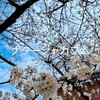ワタシ通信