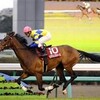 日曜競馬　回顧