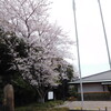 ＜写真＞阿久比町紹介シリーズ！阿久比町立図書館の前の桜