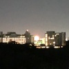 2022 横浜開港祭ビームスペクタクinハーバーの花火大会