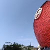 【大阪・関西万博】シンガポールパビリオンは、集合体恐怖症にとっては少し大変だった